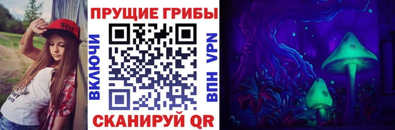 цены   Кашира  Псилоцибиновые грибы GOLDEN TEACHER 