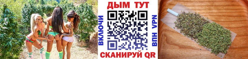 купить наркотики сайты Кашира Конопля VHQ